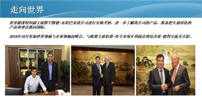 绿化混凝土：开启生态与工程融合新篇章