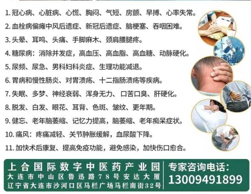 赓续抗战精神 谱写健康华章——大连李文艺与大健康产业的时代担当