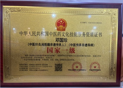 抗战胜利80周年特别报道：中医针灸非遗传承人邓国珍的传承与担当