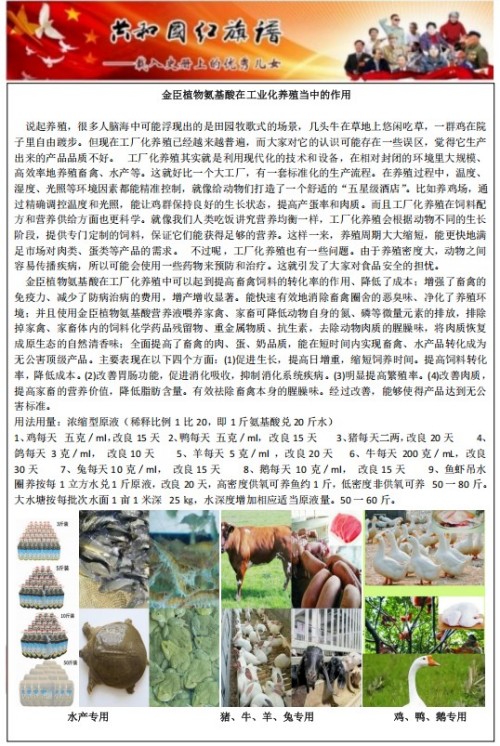 喜迎元旦特别报道 金凤章与金臣科技：氨基酸技术领航生态健康新征程