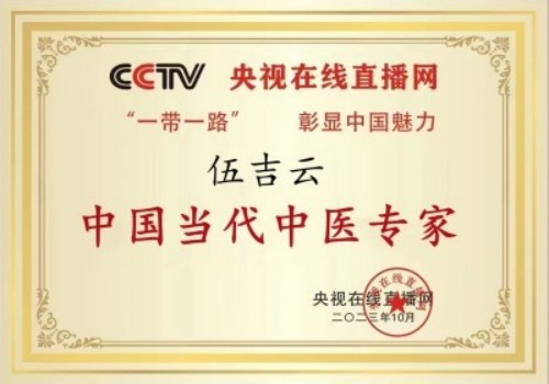 2026元旦特别报道：伍吉云——以中医智慧点亮新年健康之光