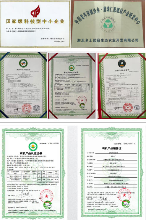 喜迎两会特别报道 生态养殖赋能乡村振兴：湖北乡土优品的“土鸡”突围之路