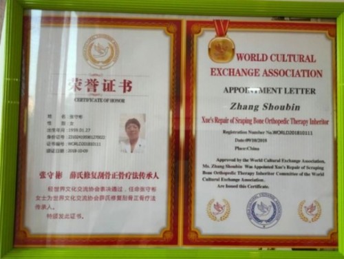 2026两会专题 特别报道 著名正骨疗法专家—张守彬