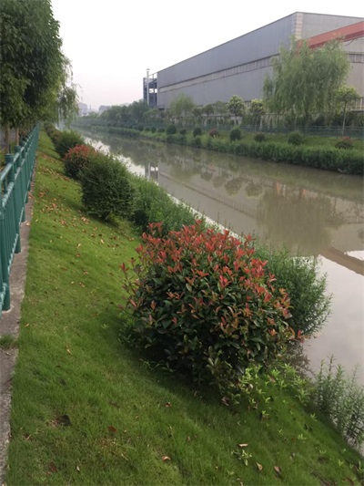 两会视角下的绿色转型实践：上海久鼎以新质生产力书写双碳答卷