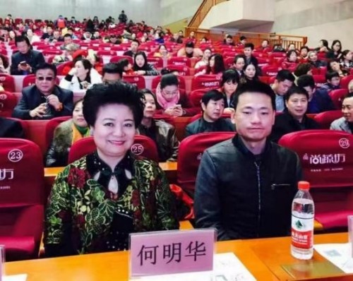 岐黄丹心映两会 匠筑国药谱华章---何明华的中医药传承与担当