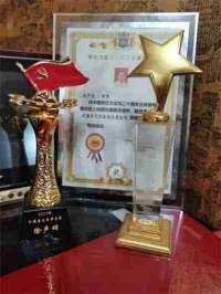 彰显中国榜样 特别报道 世界非物质文化遗产研究院副院长---徐声明